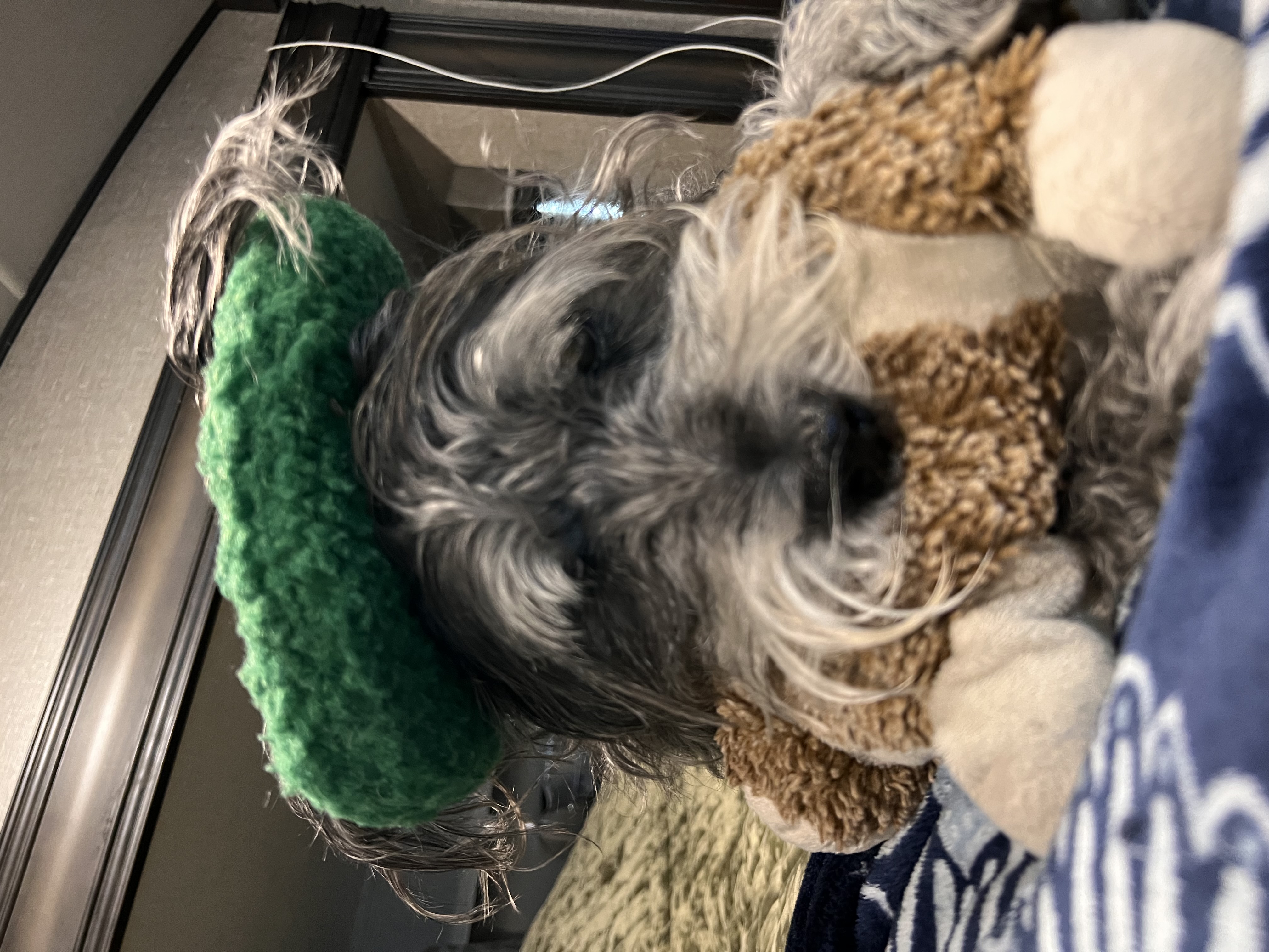 ./2022/13 - St Augustine/IMG_5450.JPG